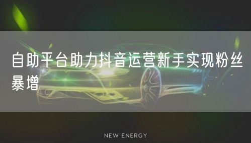 自助平台助力抖音运营新手实现粉丝暴增