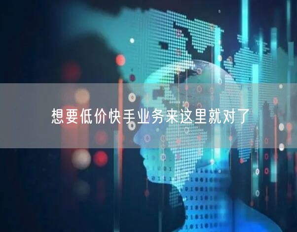 想要低价快手业务来这里就对了