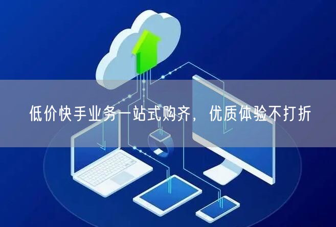 低价快手业务一站式购齐，优质体验不打折