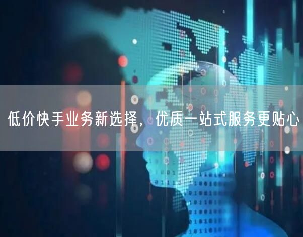 低价快手业务新选择，优质一站式服务更贴心
