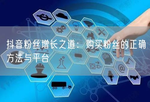 抖音粉丝增长之道：购买粉丝的正确方法与平台