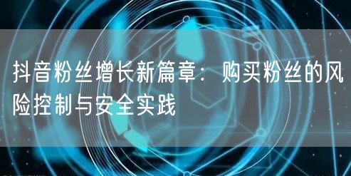 抖音粉丝增长新篇章：购买粉丝的风险控制与安全实践