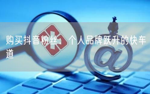 购买抖音粉丝：个人品牌跃升的快车道