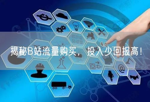 揭秘B站流量购买，投入少回报高！