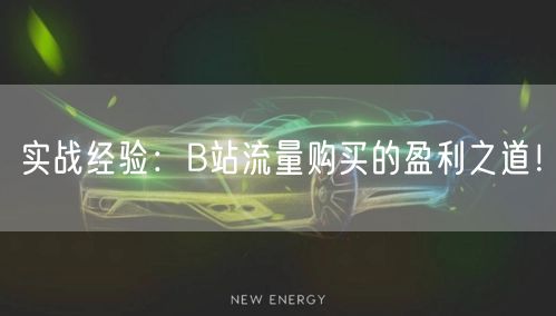 实战经验：B站流量购买的盈利之道！