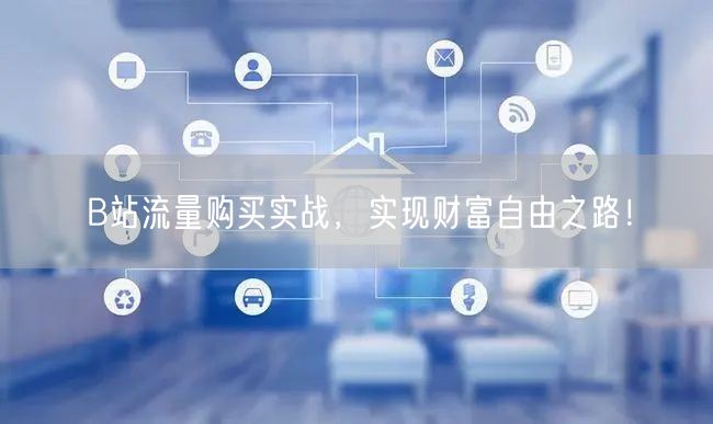 B站流量购买实战，实现财富自由之路！