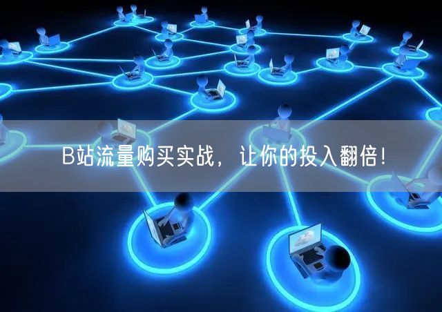 B站流量购买实战，让你的投入翻倍！