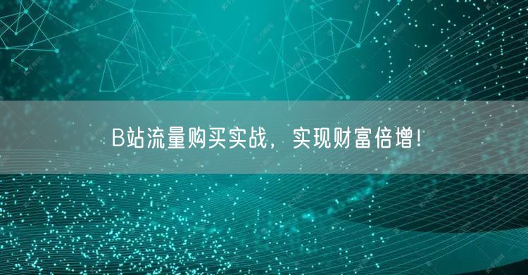 B站流量购买实战，实现财富倍增！