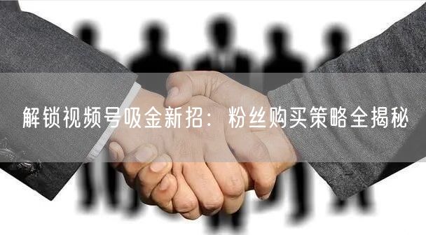 解锁视频号吸金新招：粉丝购买策略全揭秘