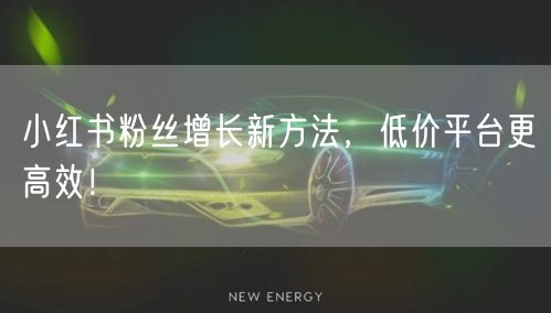 小红书粉丝增长新方法，低价平台更高效！