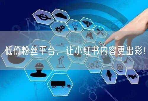 低价粉丝平台，让小红书内容更出彩！