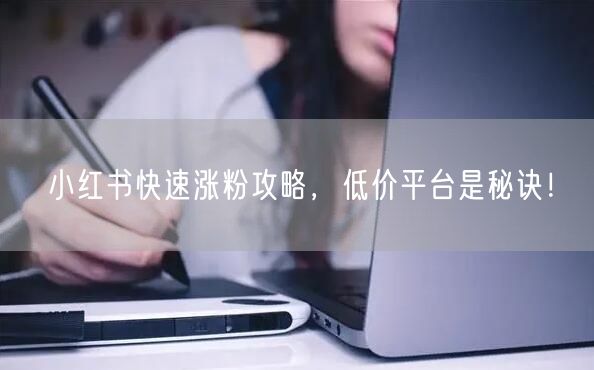 小红书快速涨粉攻略，低价平台是秘诀！