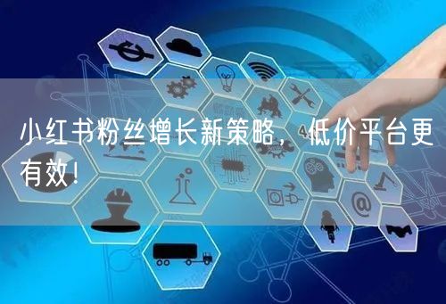 小红书粉丝增长新策略，低价平台更有效！